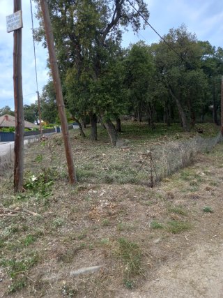 servicios limpieza jardines parcelas y poda