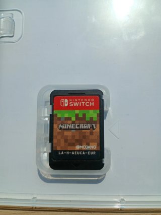 Minecraft Nintendo Switch