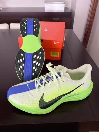 Nike pegasus plus