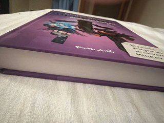 Diario de un aldeano requetepringao