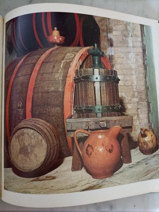 Compendio Enologico-La mia cantina