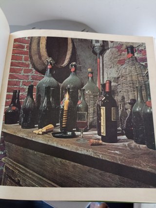 Compendio Enologico-La mia cantina