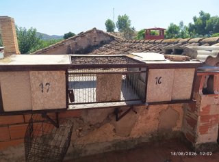 Voladeras jaulas dobles para palomos
