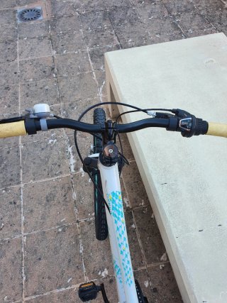 Bicicleta Giant LIV ENCHANT 24