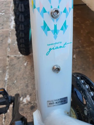 Bicicleta Giant LIV ENCHANT 24