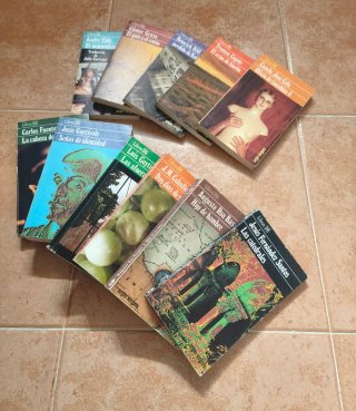 Lote 11 libros Literatura Universal