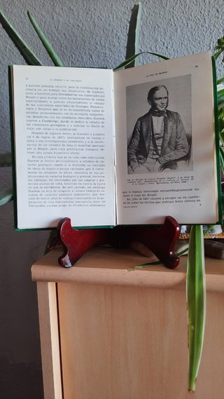 Libro Antiguo: Darwyn y El Evolucionismo