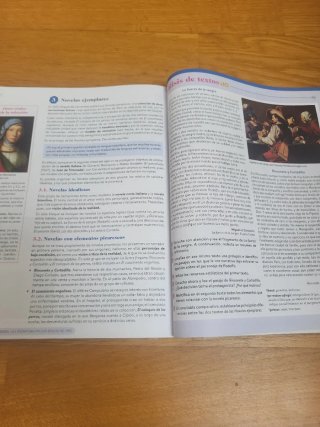 Lengua castellana y literatura I