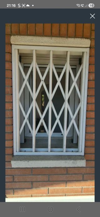Reja de seguridad para ventana fija