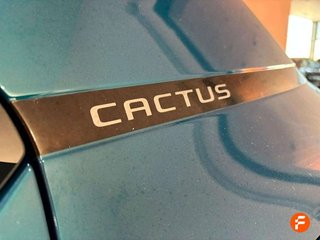 Citroën C4 Cactus BlueHDi 100 S&S Feel