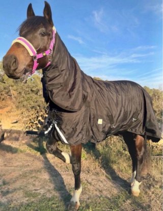 Manta Impermeable Caballo  -145cm - 400gr outlet