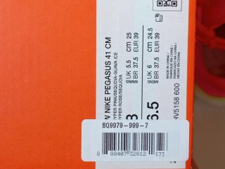 Nike Air Zoom Pegasus 41 Talla 39
