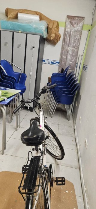 Bici de paseo