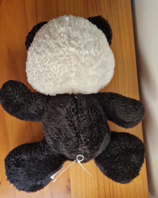Oso panda con sonido + regalo dinosaurio