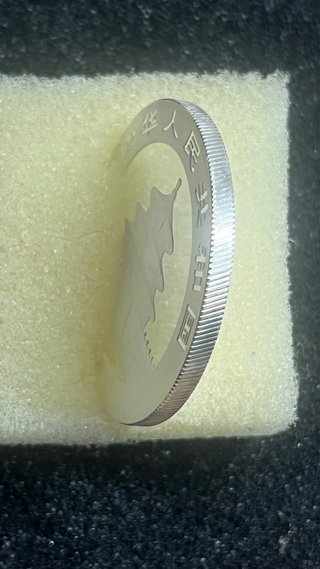 Panda plata Oficial 2014 de 31,103gr Ø 40mm