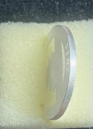 Panda plata Oficial 2014 de 31,103gr Ø 40mm