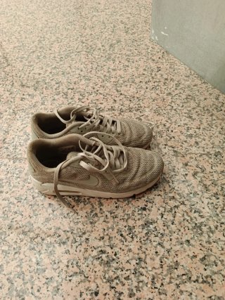 Zapatillas Nike Air Beige/Gris