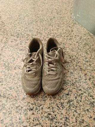 Zapatillas Nike Air Beige/Gris