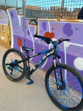 Bicicleta Rock Rider ST120