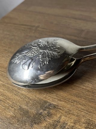Pinza EALES 1779 argentata