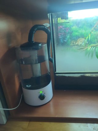 Humidificador Nebulizador Terrario Reptiles
