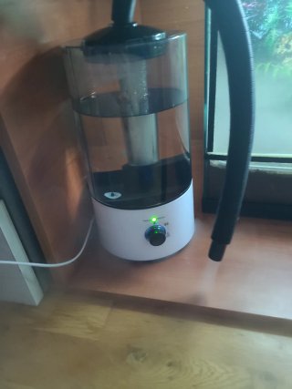 Humidificador Nebulizador Terrario Reptiles