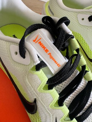 Nike Pegasus 41 Verde/Blanco