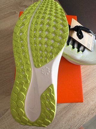 Nike Pegasus 41 Verde/Blanco