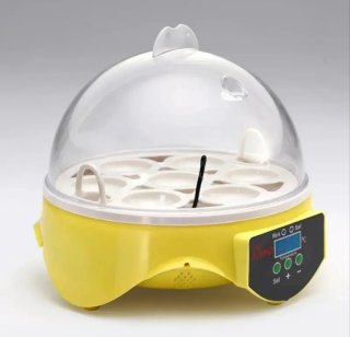 Mini incubadora