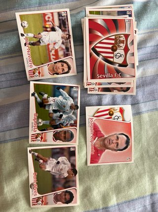 CROMOS LIGA  2004-2005