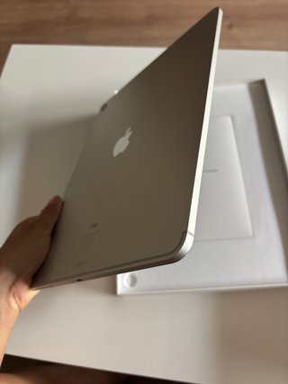 iPad Pro 12.9 3ª Gen (256GB +Cellular)