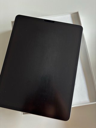 iPad Pro 12.9 3ª Gen (256GB +Cellular)