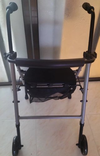 Andador dos ruedas