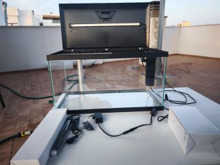 Pecera con tapa negra