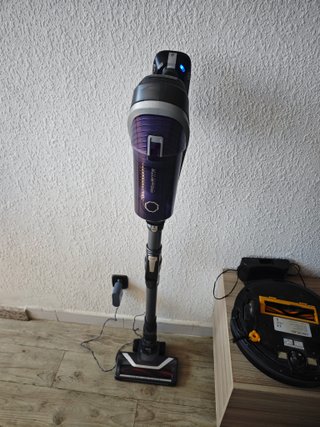 Aspirador Rowenta Flex