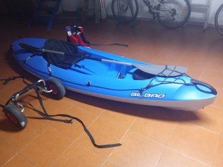 Piragua azul con remos y carrito