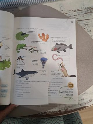 Ciencias de la Naturaleza, 4 Primaria