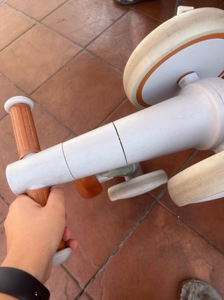 Bici de equilibrio SEREED