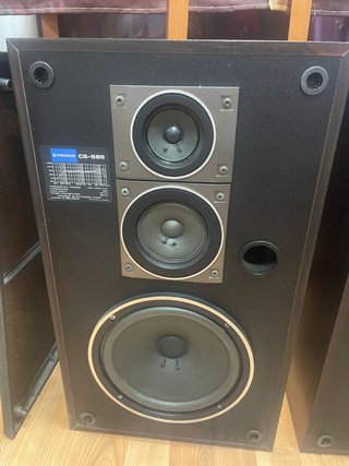 Altavoces Pioneer CS-565 Negro/Gris