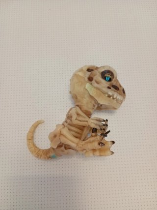 Dinosaurio esqueleto bebé