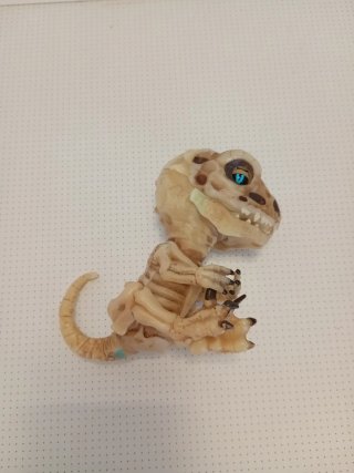 Dinosaurio esqueleto bebé