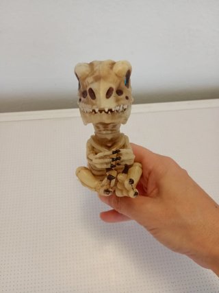 Dinosaurio esqueleto bebé