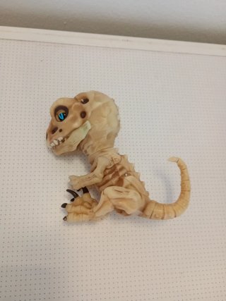 Dinosaurio esqueleto bebé