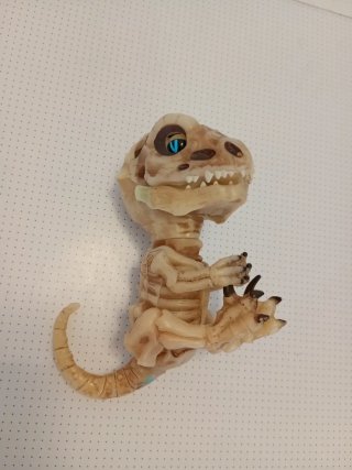 Dinosaurio esqueleto bebé