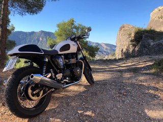 Triumph Thruxton 900 Ace Cafe Racer