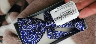 Pajarita Hombre Azul Paisley