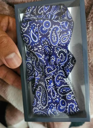 Pajarita Hombre Azul Paisley