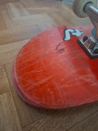 Skate Blind 8.375"