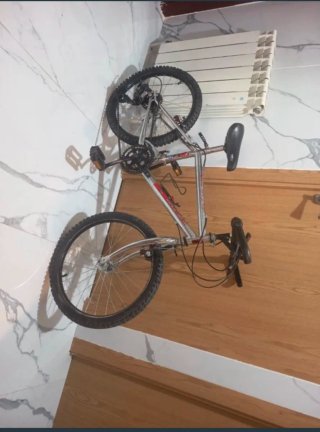 Bicicleta de montaña plateada