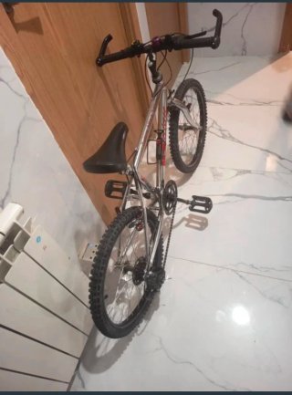 Bicicleta de montaña plateada
